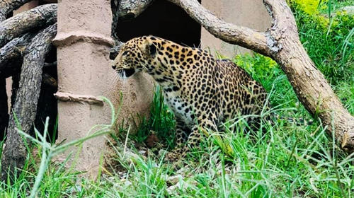 Vamos al zoológico que está en Esquipulas