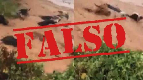 &iquest;Es cierto que un r&iacute;o arrastr&oacute; ganado en Guatemala? R: Falso