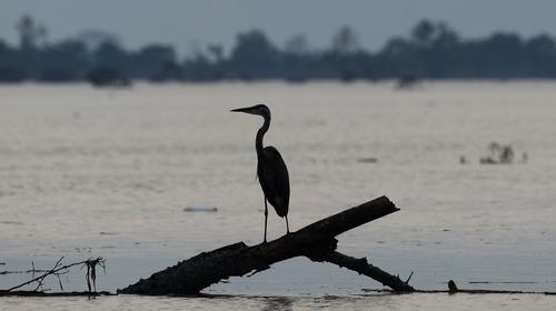 Lluvias por Eta resucitan lagunas desaparecidas en Honduras
