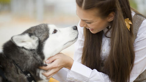 Problemas de salud que pueden detectar los perros en humanos