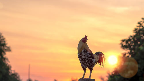 ¿Salida familiar? Cinco granjas que puedes visitar en tu descanso