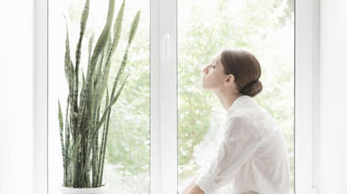 Así puedes purificar el aire en tu hogar 