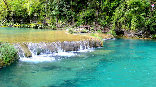 Conap advierte por venta de paquetes pese a cierre de sitios
