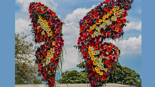 Desde casa: así se realizará el Festival de las Flores de Antigua