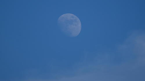 Luna Azul Halloween 2020: el fenómeno que ocurre cada 19 años