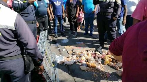 Indignación en redes por agresión de PMT a vendedor de manías