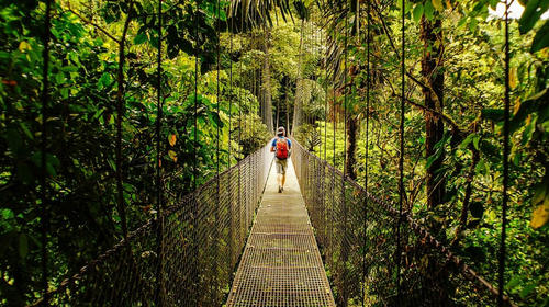 Costa Rica abre convocatoria en becas de maestr&iacute;a y doctorado