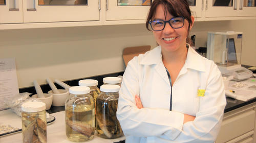 Bióloga investiga impacto de peces invasores en Guatemala