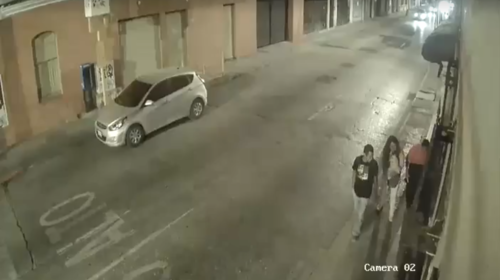 Piden ayuda para que "Molly" vuelva a casa tras su robo en zona 1