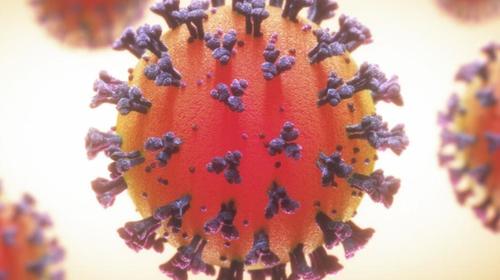 Brasil: nueva variante del covid infect&oacute; a pacientes recuperados 