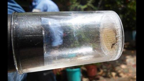 Guillain-Barr&eacute;, la otra enfermedad relacionada con el virus Zika