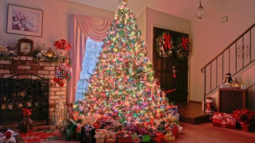 Tuiteros guatemaltecos publican fotos de sus &aacute;rboles navide&ntilde;os 