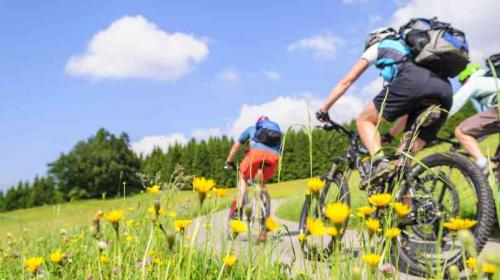 La SAAS quiere comprar bicicletas montañesas