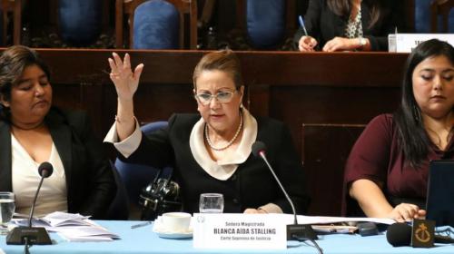 Nombran juez para conocer el caso de Blanca Stalling