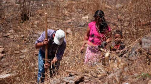 Afectados por la canícula reciben $250 mil de parte de Corea del Sur