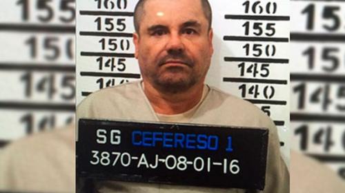 "El Chapo" ten&iacute;a m&aacute;s aviones que la aerol&iacute;nea m&aacute;s grande de M&eacute;xico 