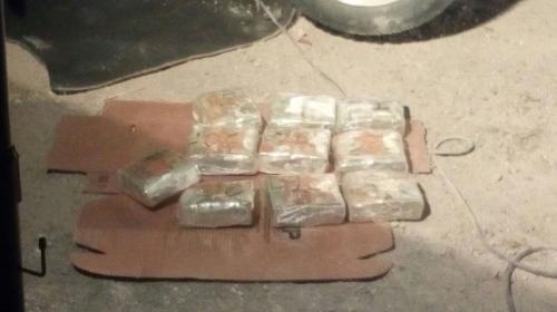 Perro polic&iacute;a localiza paquetes de d&oacute;lares escondidos en un veh&iacute;culo 