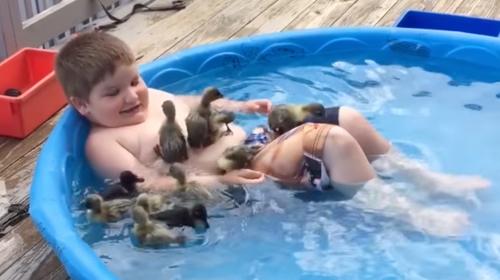 Video: Un ni&ntilde;o tiene como compa&ntilde;eros de piscina a varios patitos