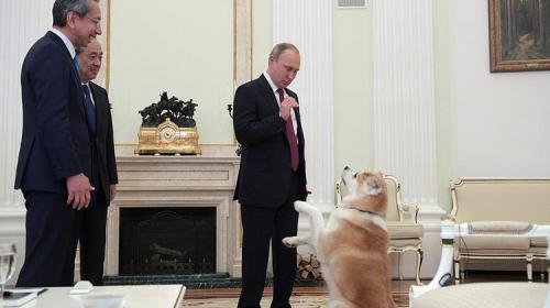 Yum&eacute;, el perro de Putin que asusta a los periodistas