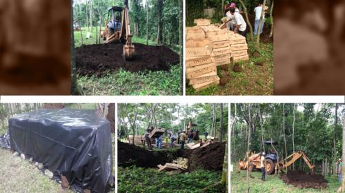 &iquest;Por qu&eacute; han sacrificado m&aacute;s de 39 mil pollos en los &uacute;ltimos a&ntilde;os? 