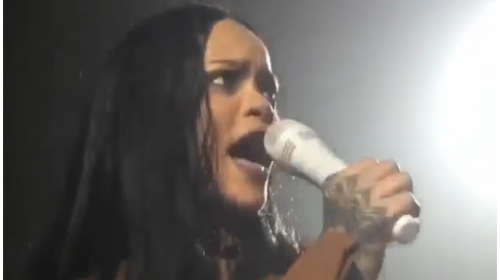 Un fan&aacute;tico sorprende a Rihanna durante un concierto
