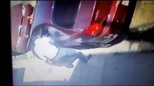 Un ladr&oacute;n "bien vestido" es captado en video cuando abre un veh&iacute;culo