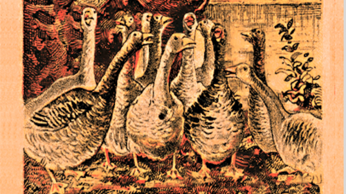 El reto visual que solo una de cada ocho personas, logra resolver