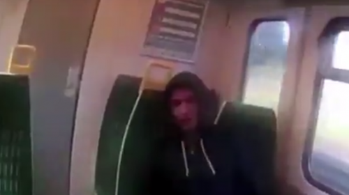 Hombre que no quería pagar su boleto, agrede a una guardia del tren