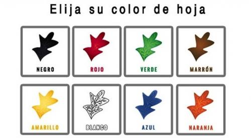 El color de estas hojas revela tu personalidad