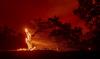 California en emergencia por incendios forestales 