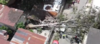 Árbol se desploma y cae sobre carros en Villa Nueva