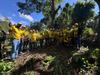 70 voluntarios de EPA sembraron 665 árboles en Fraijanes
