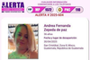 Operativo Shark: más capturas por desaparición de Andrea Fernanda