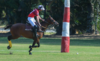 Guatemala jugar&aacute; su primer partido en el Premundial de Polo  
