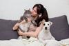 Mascotas: cuidados esenciales para perros y gatos ancianos