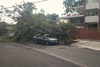 &Aacute;rbol se desploma e impacta sobre un veh&iacute;culo en zona 15
