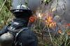 Incendio consume cinco viviendas en la zona 3 (video)