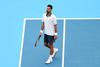 Djokovic se despide de Cincinnati tras caer ante Tirante
