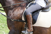 Jinete resulta herida tras caer de su caballo en desfile h&iacute;pico
