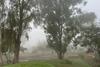 Insivumeh prev&eacute; lluvias y actividad el&eacute;ctrica para este lunes