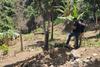 Localizan cuerpo calcinado en camino de terracer&iacute;a