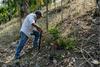 Altas temperaturas mantienen en alerta 135 municipios