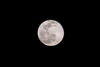 Inicia el eclipse lunar en Guatemala: as&iacute; luce