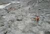 EE.UU anuncia USD 3,6 millones en ayuda humanitaria para Nepal