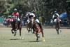 Polo Club esta listo para Campeonato Nacional de Mediano H&aacute;ndicap