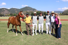 Aseguradora General es campe&oacute;n del Mediano Handicap de Polo
