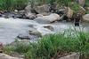 Ni&ntilde;a est&aacute; desaparecida tras ser arrastrada por r&iacute;o en San Marcos 