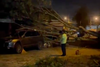 As&iacute; qued&oacute; el paso luego que un &aacute;rbol se desplomara en zona 13