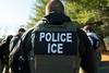 El guatemalteco  que busca salir libre tras ser capturado por ICE