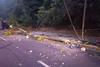 Fuerte congesti&oacute;n vehicular por poste derribado en zona 15